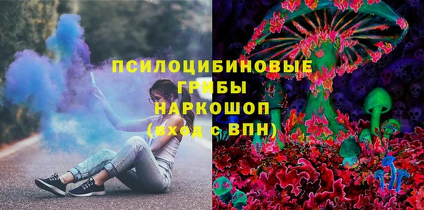 молекула духа Богданович